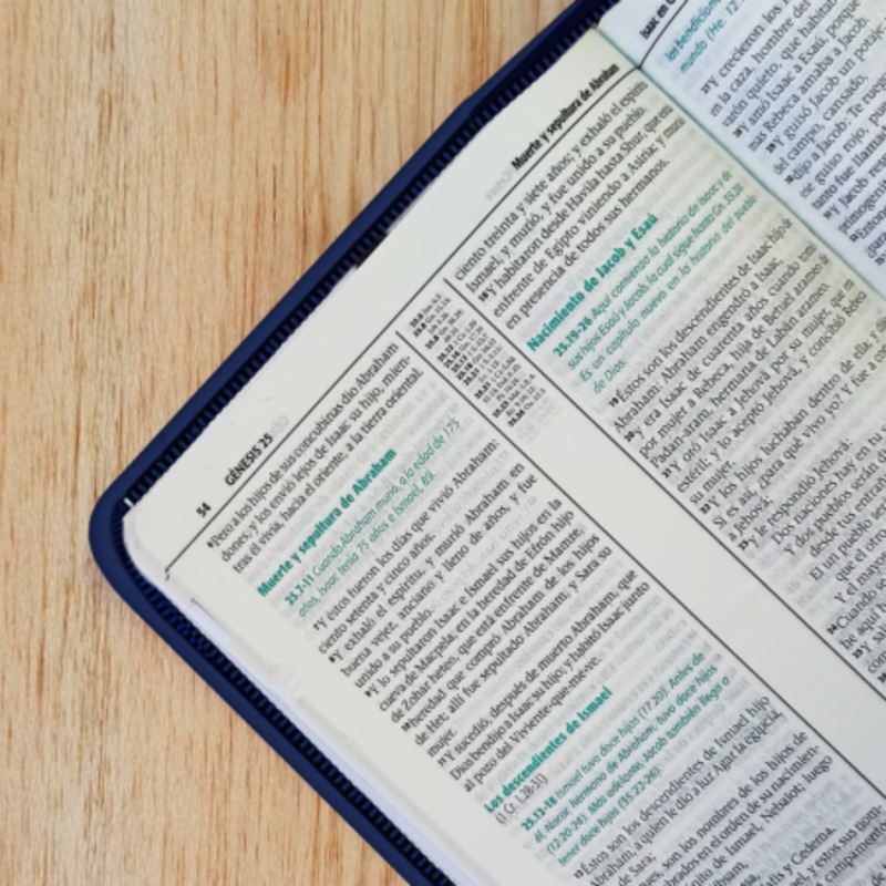 Outlined Study Bible, Large Print, Imitation Leather, Multicolor