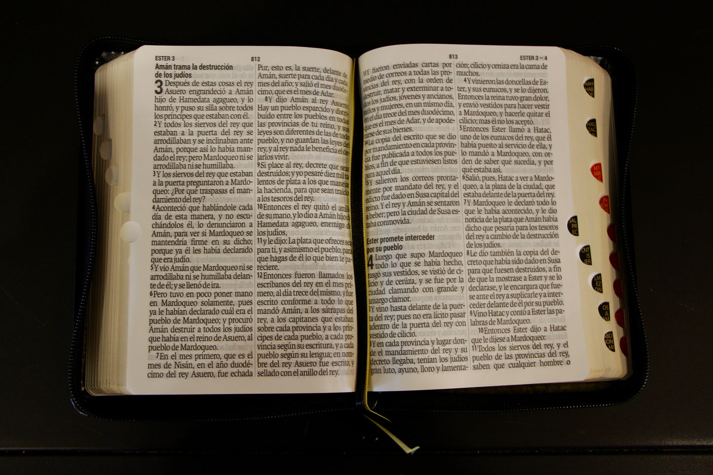 Compact Holy Bible, Large Print, Imitation Leather, Black
