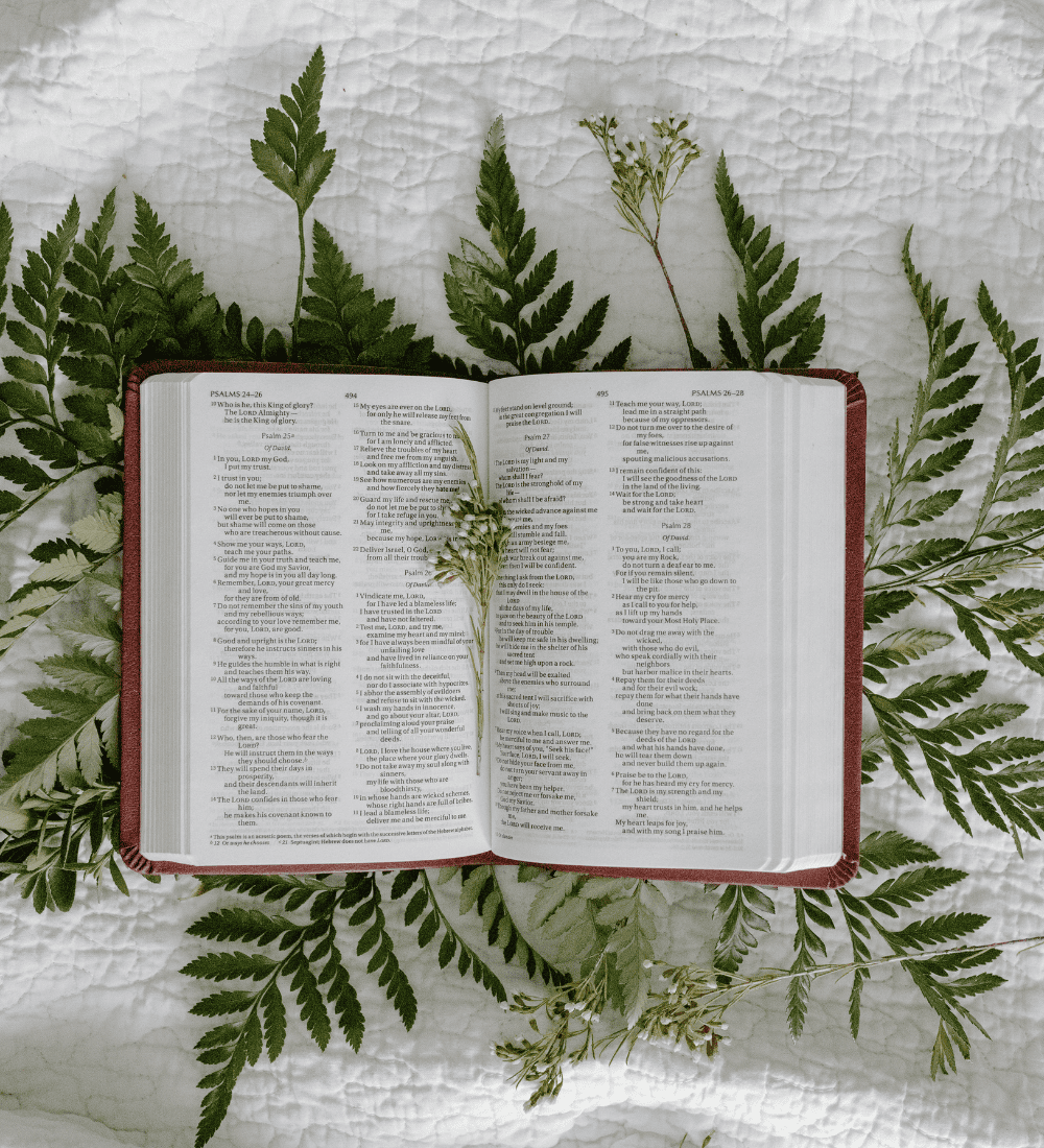 Guía para leer correctamente la Palabra de Dios