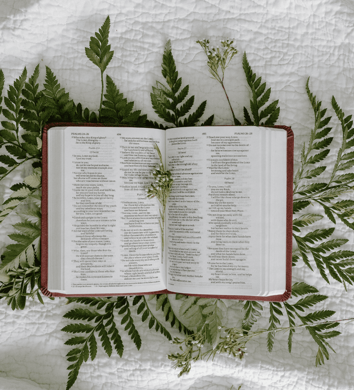 Guía para leer correctamente la Palabra de Dios