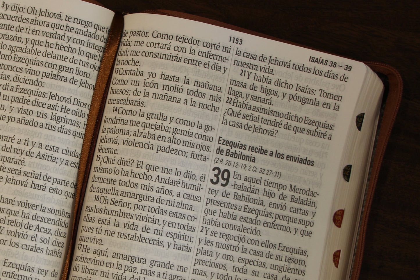 Holy Bible, Super Giant Print, Imitation Leather, Black/Brown 
