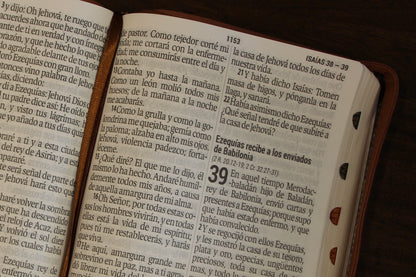 Holy Bible, Super Giant Print, Imitation Leather, Black/Brown 
