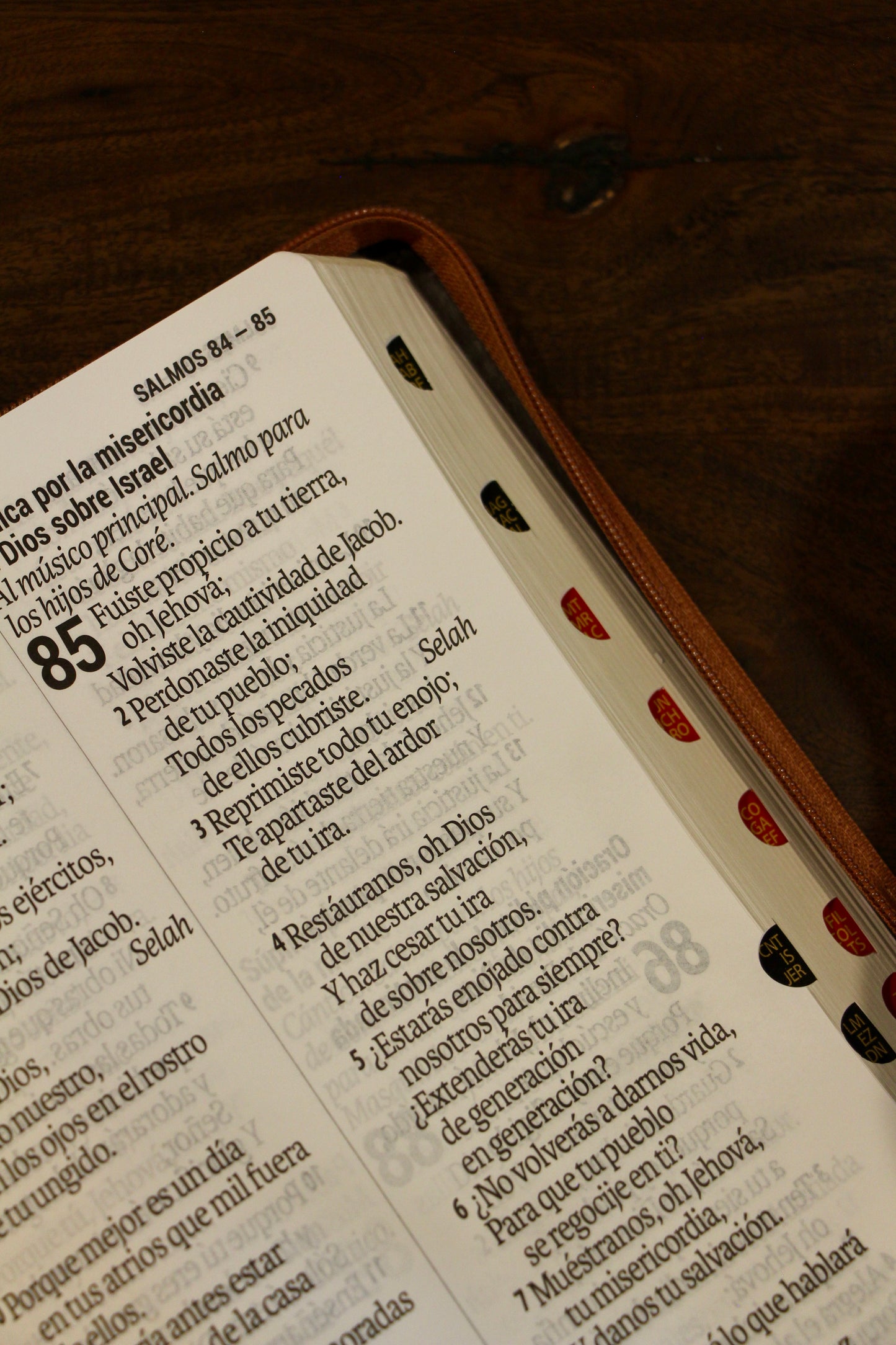 Holy Bible, Super Giant Print, Imitation Leather, Black/Brown 