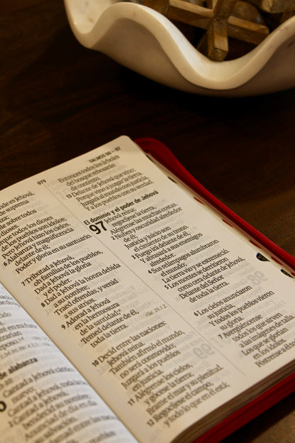 Holy Bible, Super Giant Print, Imitation Leather, Black/Brown 