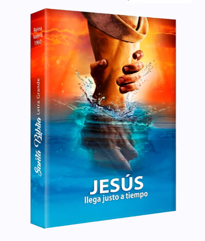 Santa Biblia de Letra Grande, Cubierta Flexible, Manos