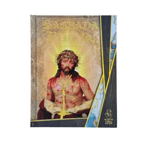 Holy Catholic Bible Special Art Edition