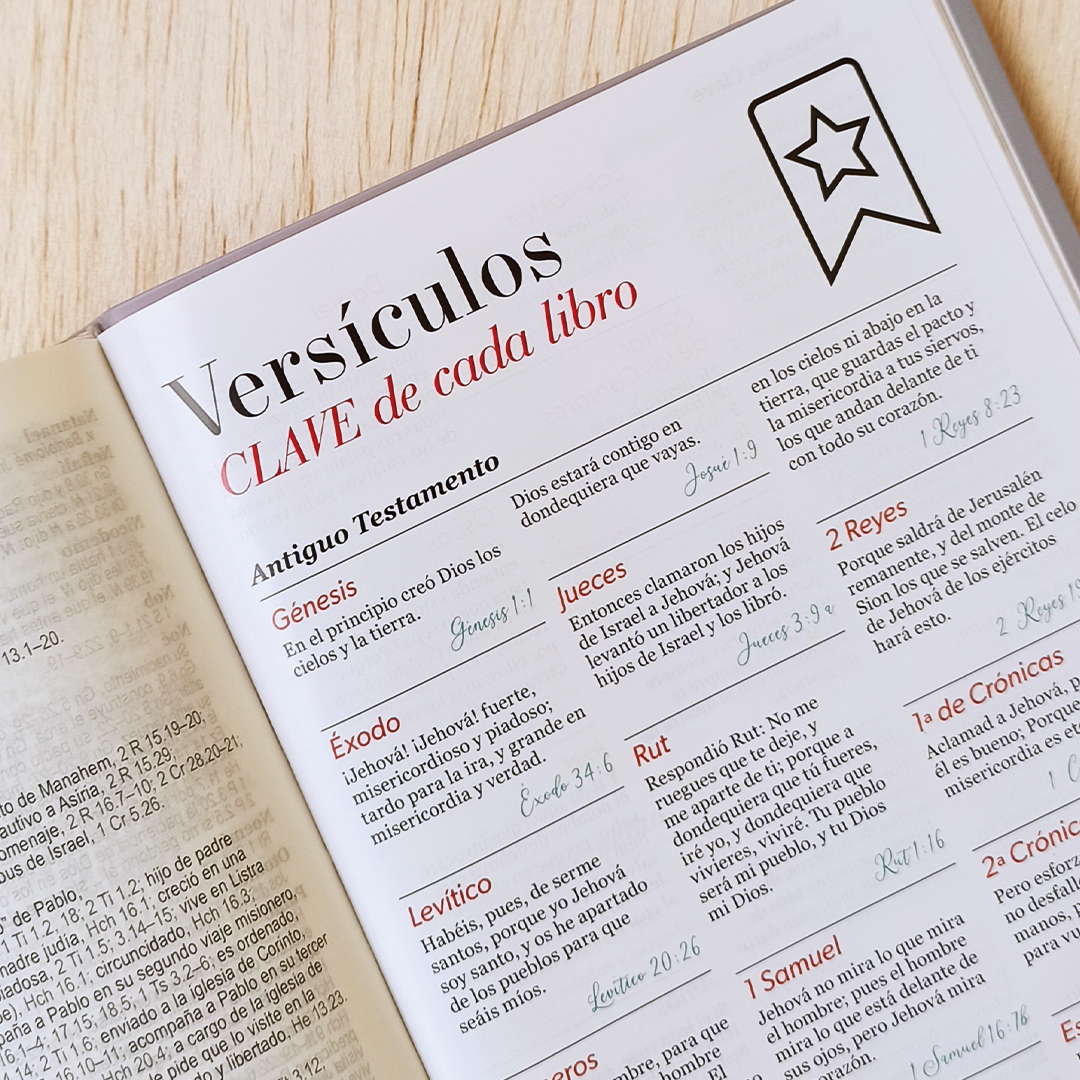 Santa Biblia de Letra Grande, Cubierta Flexible, Manos