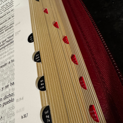 La Biblia Latinoamérica de Lujo Negra, Letra Grande, Imitación piel, Cierre e Índice