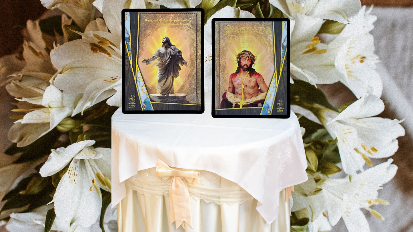 Holy Catholic Bible Special Art Edition