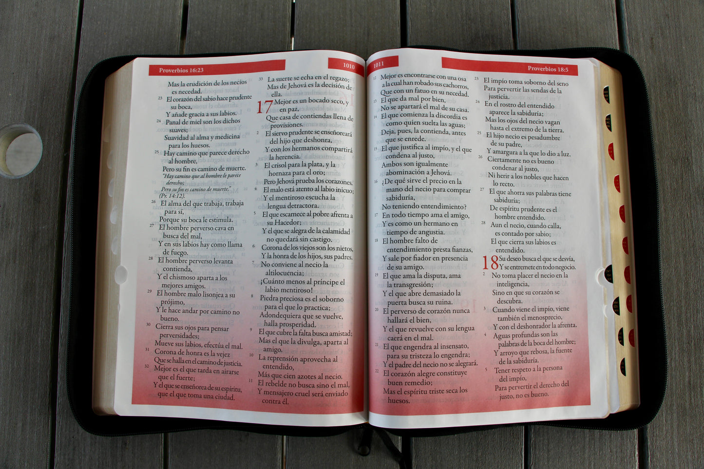 Biblia con Referencia Inmediata Color Negra Letra super Gigante