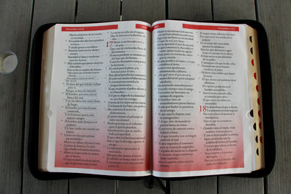 Biblia con Referencia Inmediata Color Negra Letra super Gigante