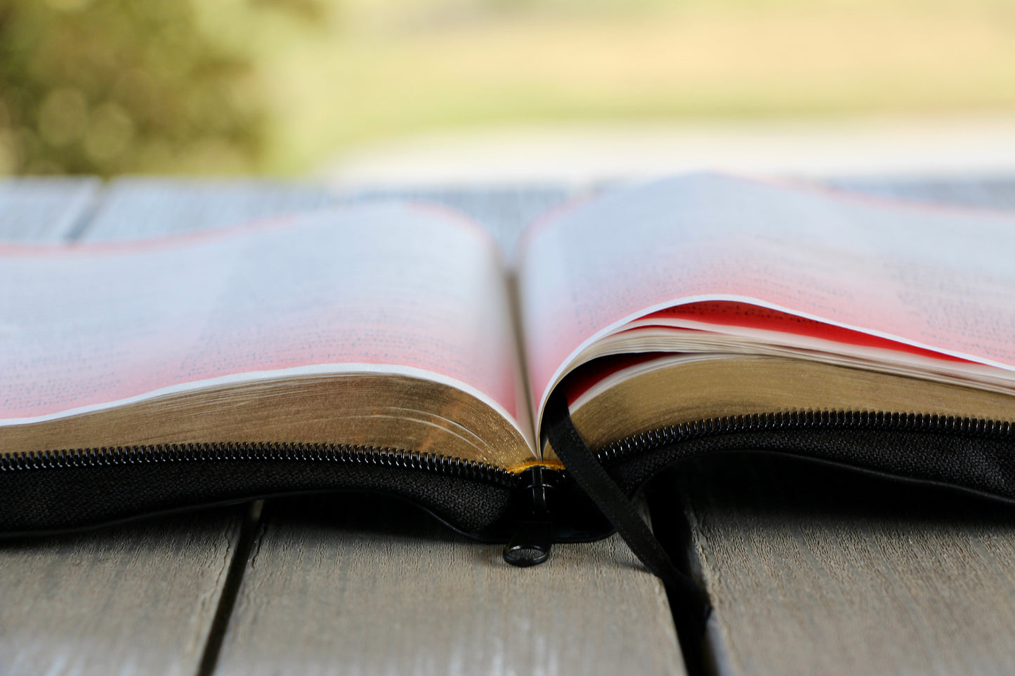 Biblia con Referencia Inmediata Color Negra Letra super Gigante