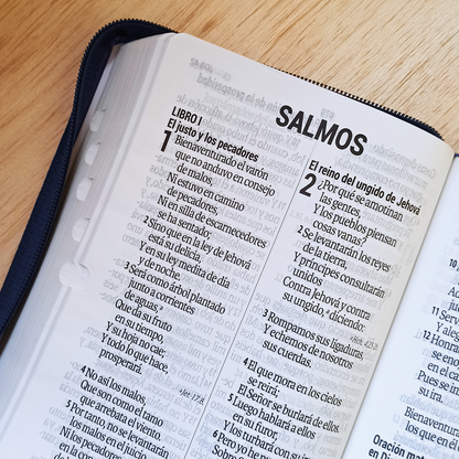 Santa Biblia Manual Letra Gigante Imitación Piel, Guatemala