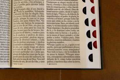 Santa Biblia de Letra Grande, Cubierta Flexible, Ejercito