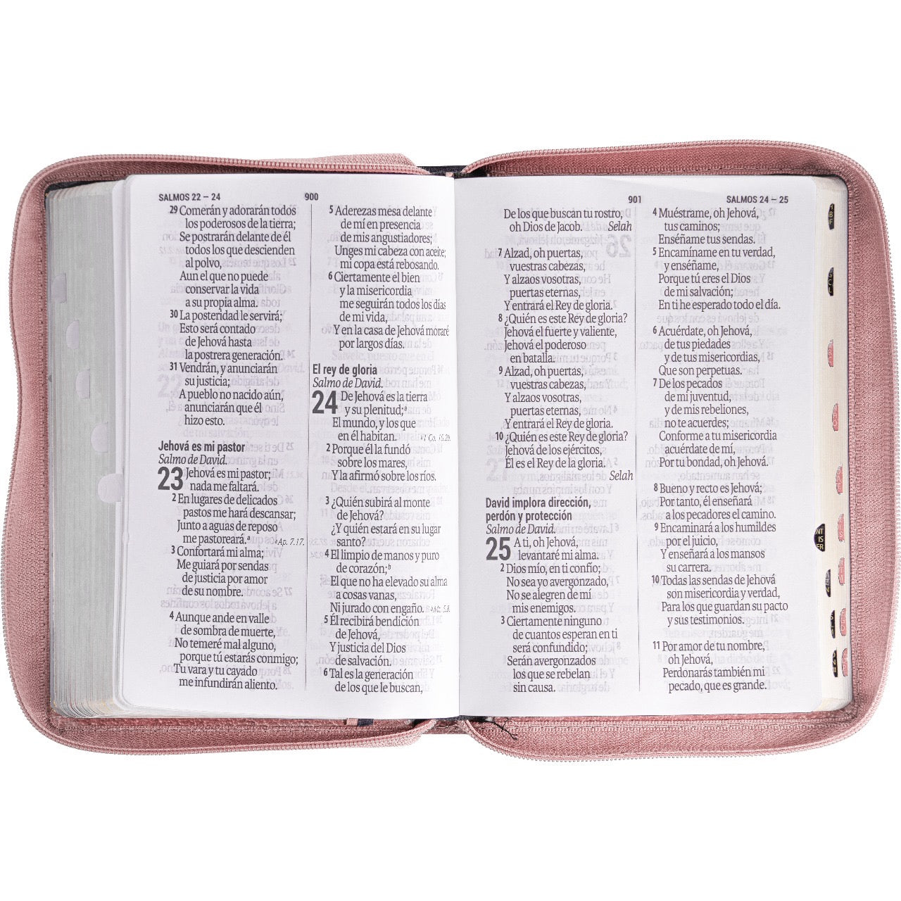 Holy Bible Manual Giant Print Imitation Leather, Tulips 