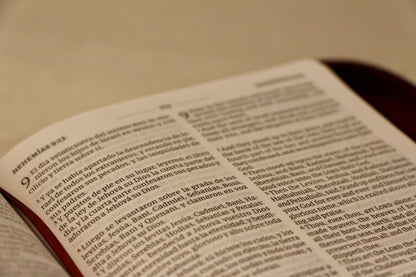 Biblia Bilingue / Caramelo / Manual / Letra Pequeña / Imitación Piel / With Index and Zipper / RVR 1960