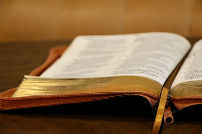 Holy Bible, Super Giant Print, Imitation Leather, Black/Brown 