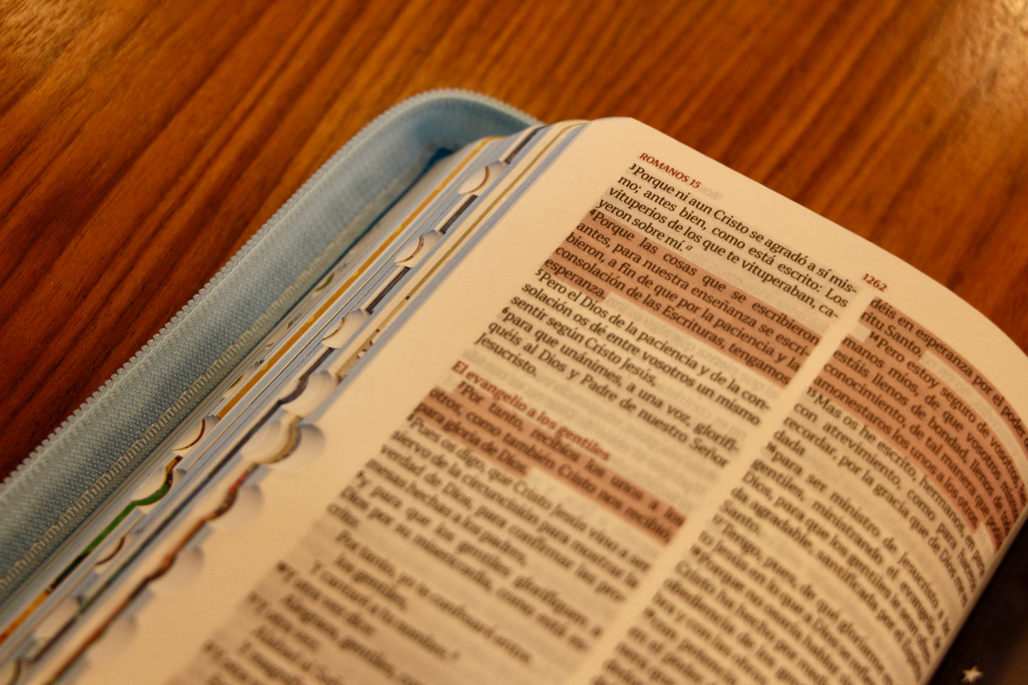 Santa Biblia para Niños, Compacta, Imitación Piel, ovejas