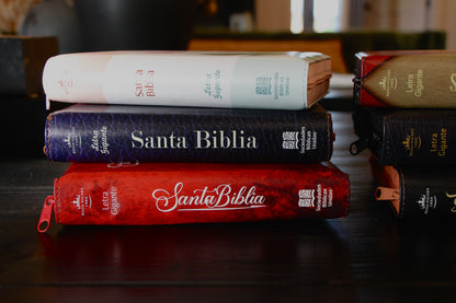 Holy Bible Manual Giant Print Imitation Leather, Tricolor