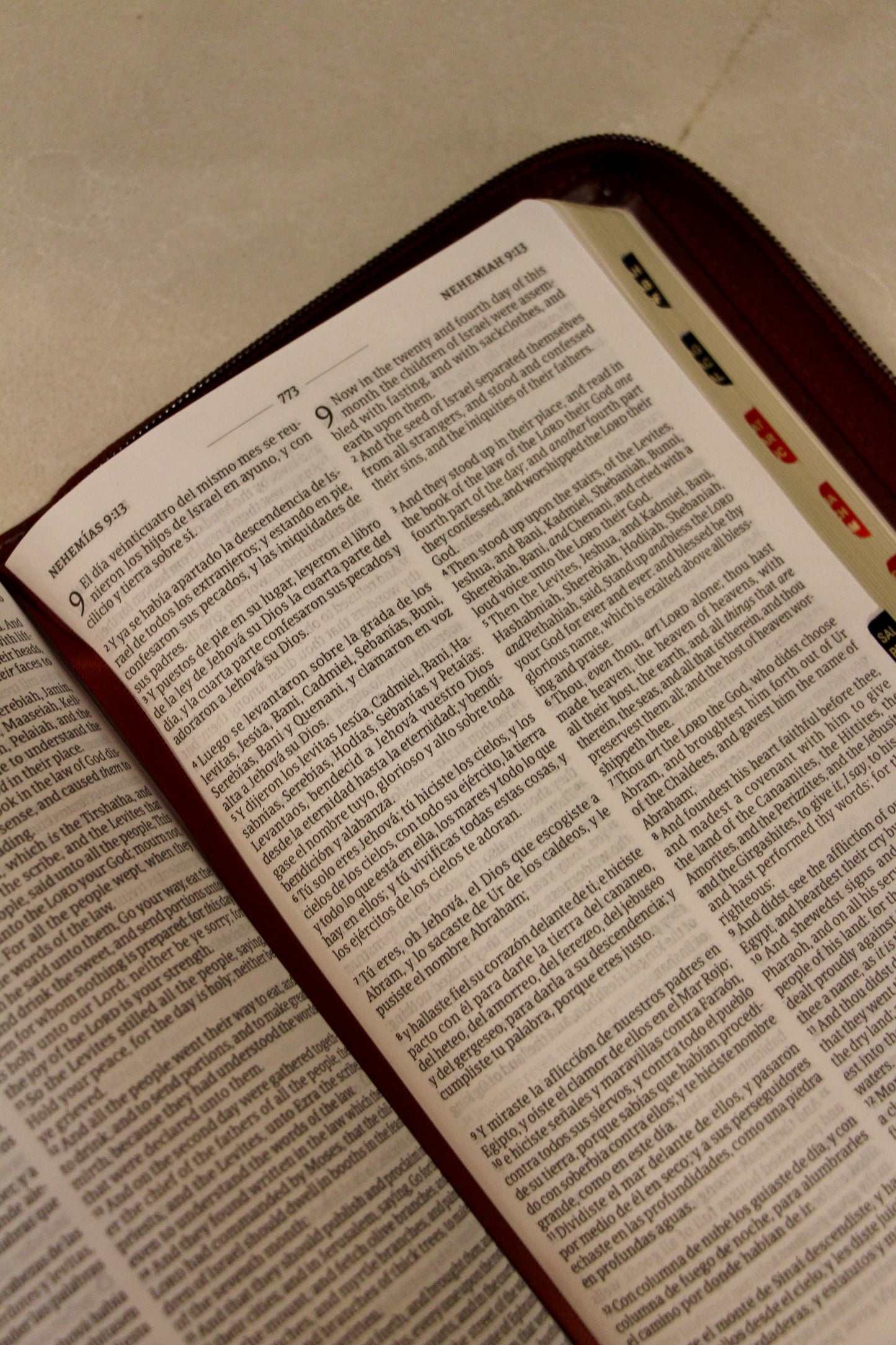 Biblia Bilingue / Caramelo / Manual / Letra Pequeña / Imitación Piel / With Index and Zipper / RVR 1960