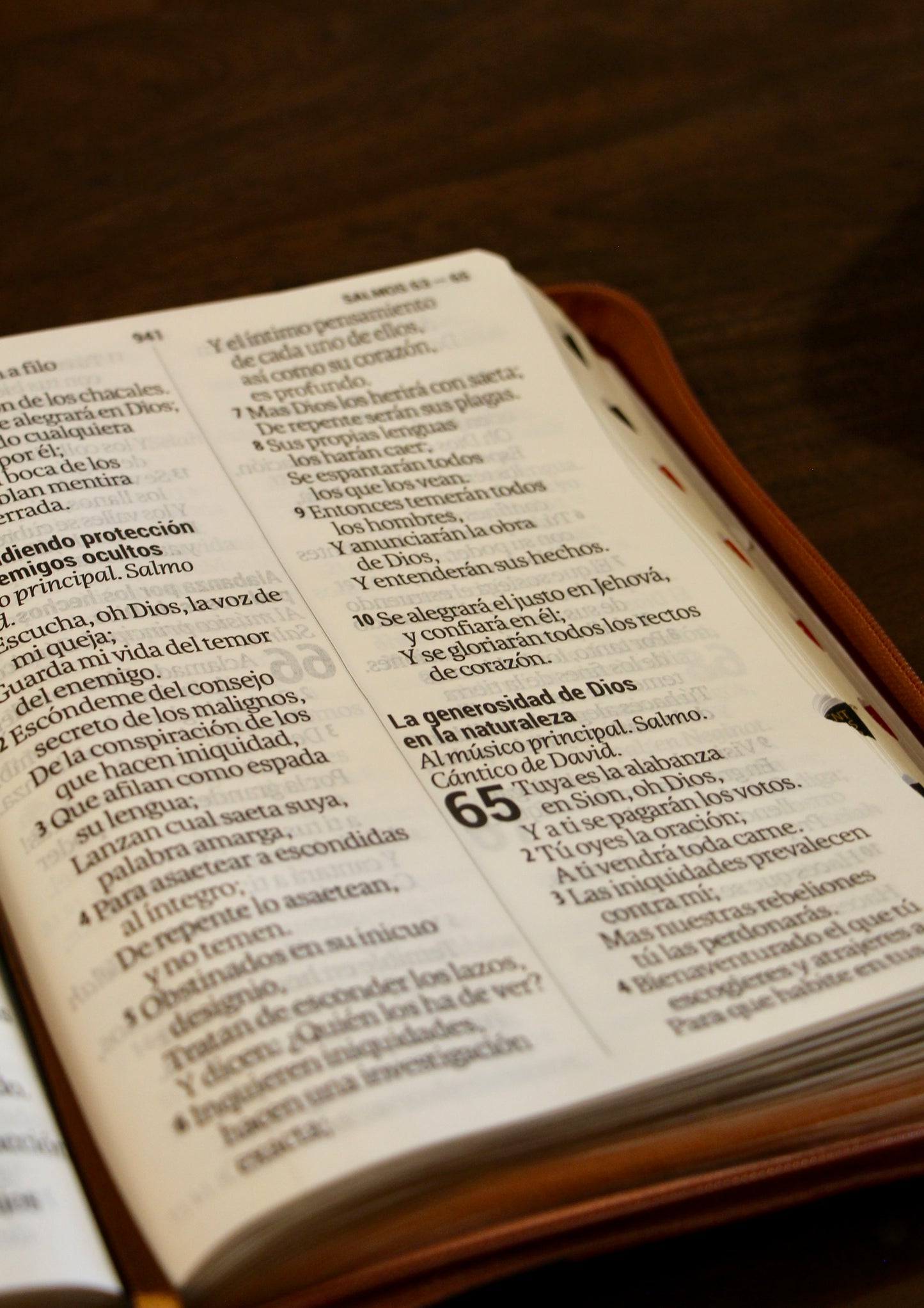 Holy Bible, Super Giant Print, Imitation Leather, Black/Brown 