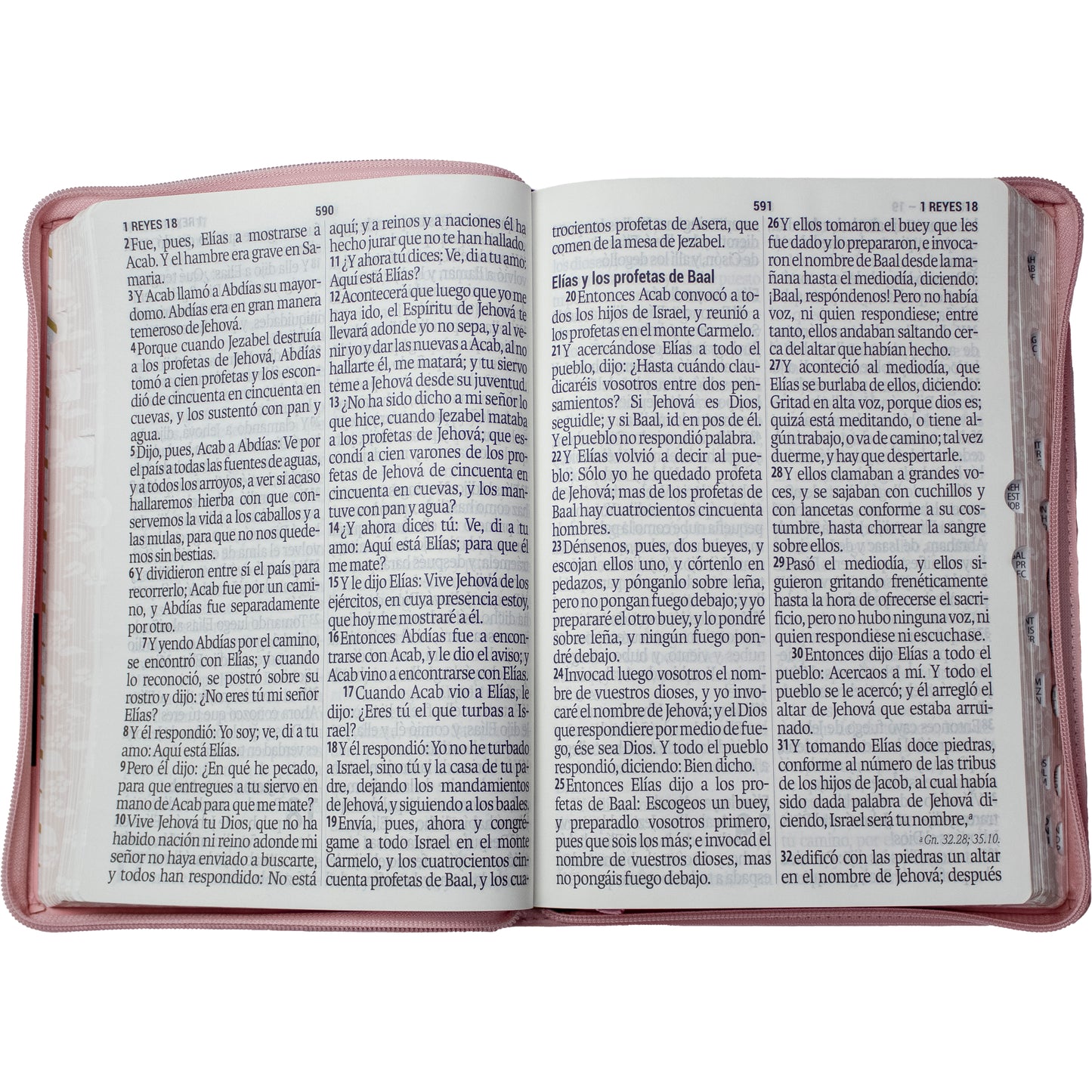 Santa Biblia Super Gigante 19 pt Letra Grande Rosa Pink en Español – Edición Fácil Lectura para Estudio y Devocional. RVR60