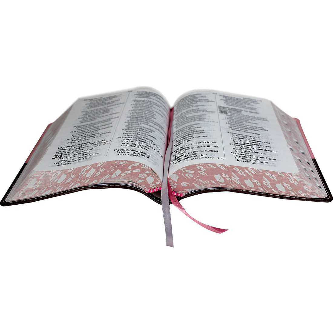 Santa Biblia Letra Gigante Rosa y Marrón – RVR1960