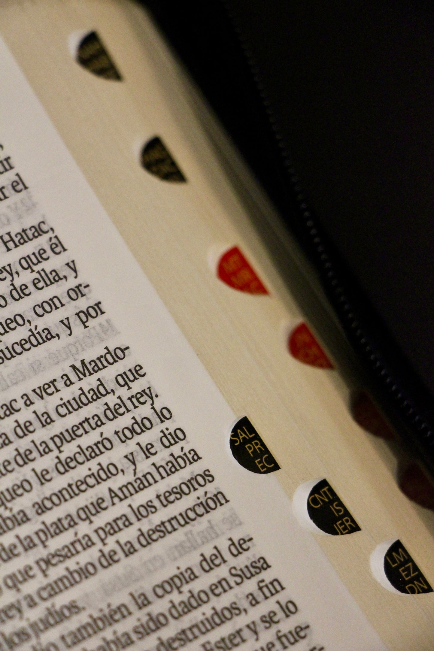 Compact Holy Bible, Large Print, Imitation Leather, Black 