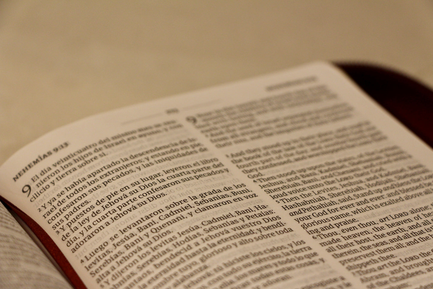 HOLMAN RV60/KJV BILINGUAL BLUE