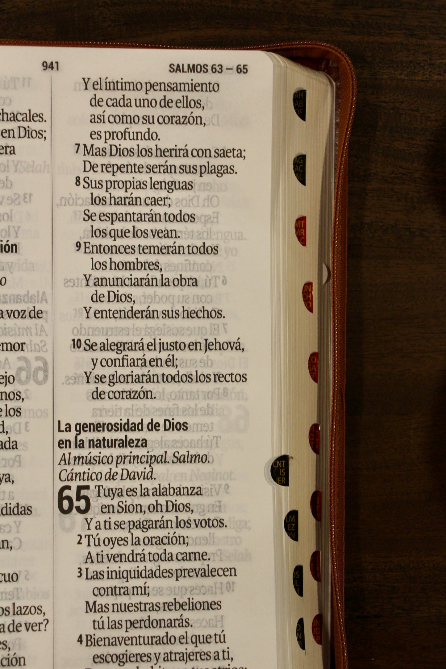 Holy Bible, Super Giant Print, Imitation Leather, Black/Brown 