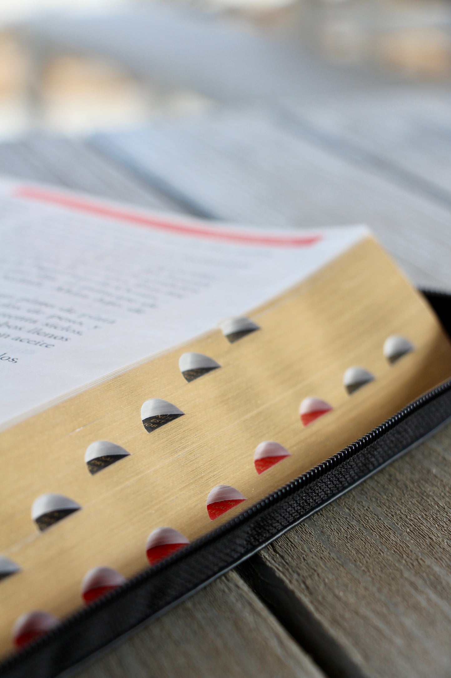 Biblia con Referencia Inmediata Color Negra Letra super Gigante