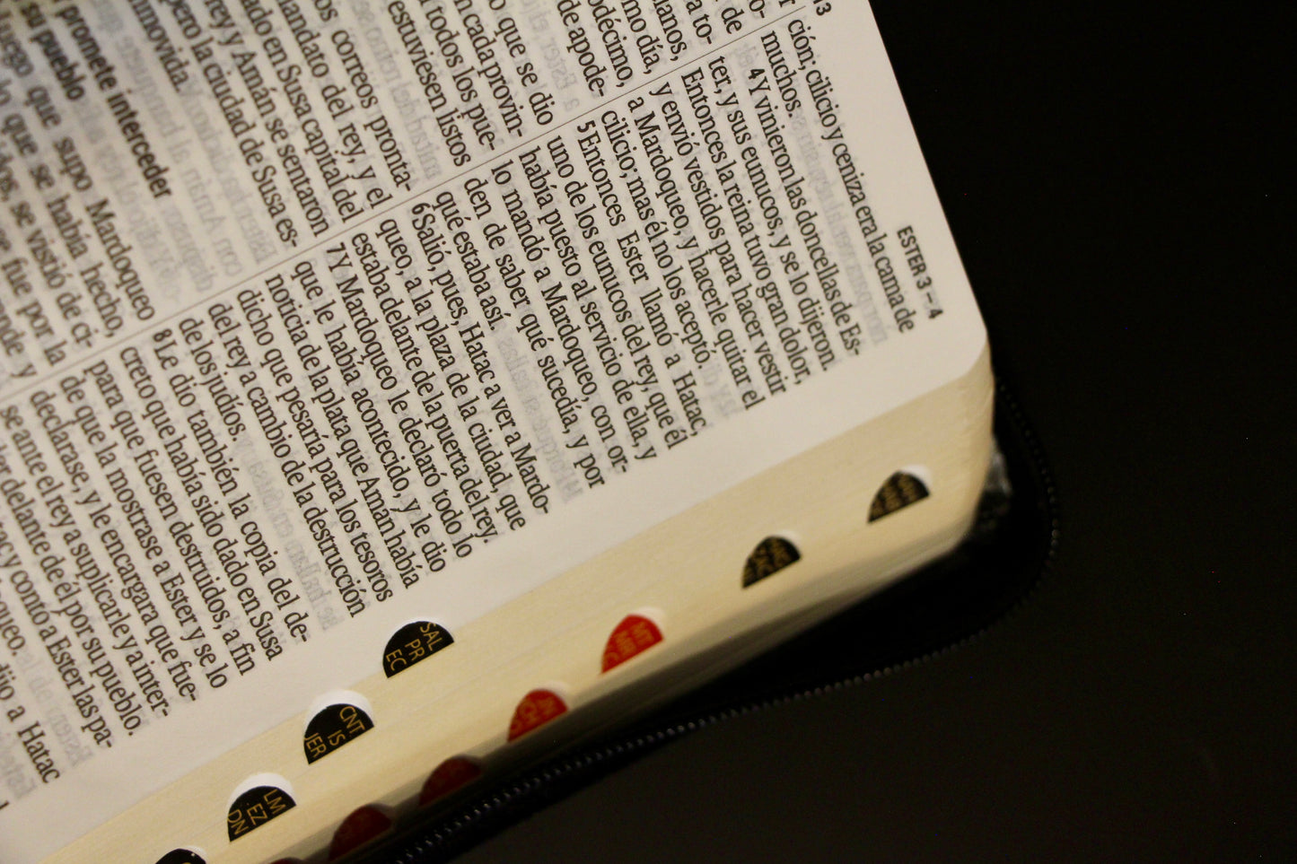 Compact Holy Bible, Large Print, Imitation Leather, Black 