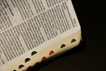 Compact Holy Bible, Large Print, Imitation Leather, Black 