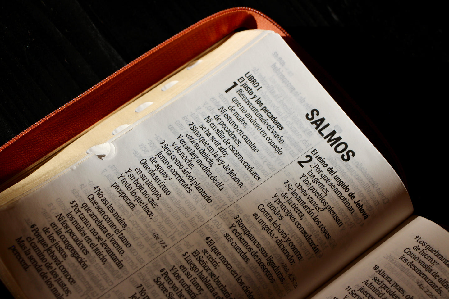 Holy Bible Manual Giant Print Imitation Leather, Tricolor
