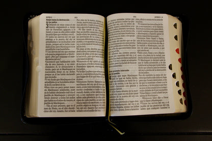 Compact Holy Bible, Large Print, Imitation Leather, Black 