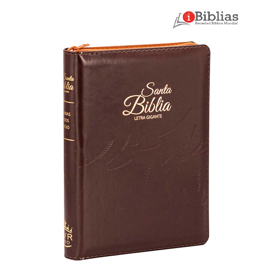 Biblia Manual color Café - (14 puntos Letra Gigante)