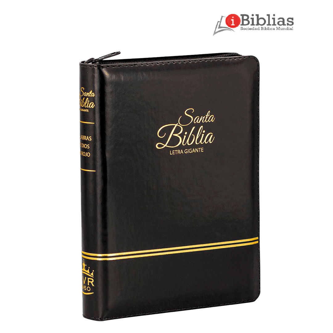 Biblia Compacta color Negro - (11 puntos Letra Grande)