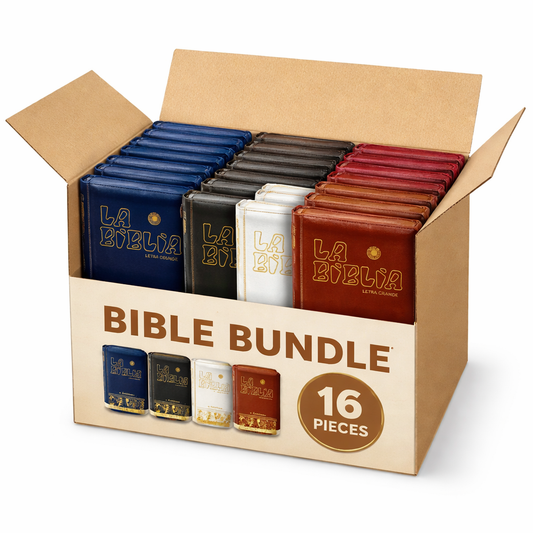 Bundle Latin American Bible x16 Pieces