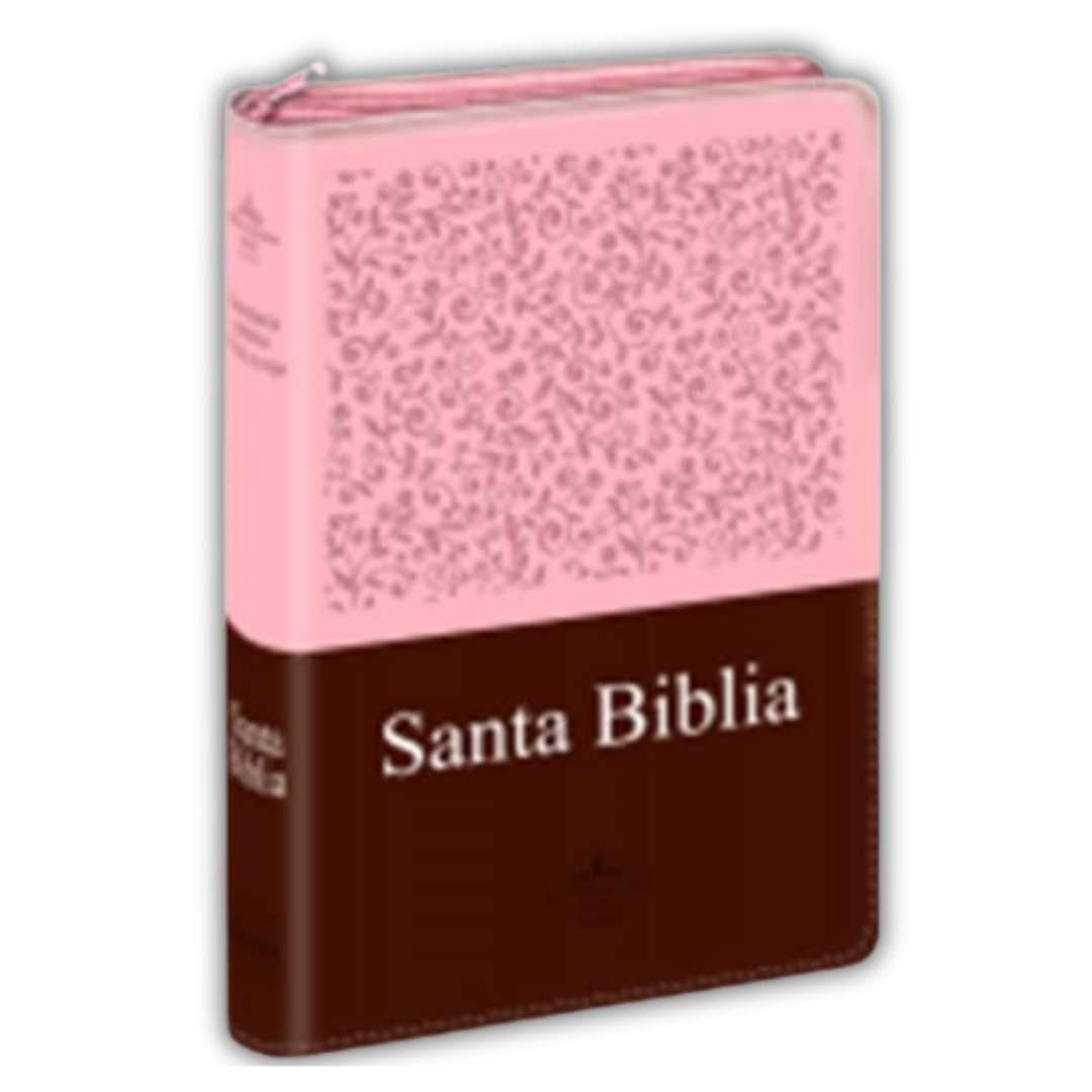 Santa Biblia Letra Grande Duotone Rosa y Marrón – RVR1960