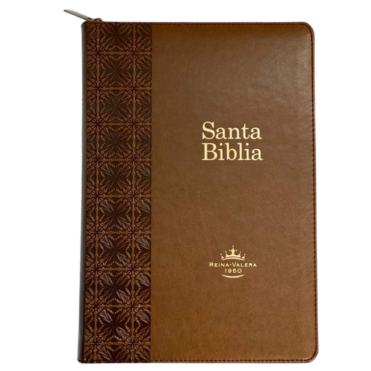 Rainbow Study Bible, Imitation Leather, Bronze