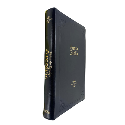 Rainbow Study Bible, Imitation Leather, Bronze